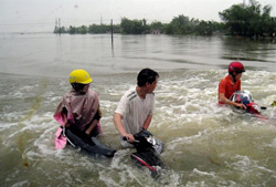 Nước ngập cả xe gắn my ở Huyện Cẩm Xuyn, tỉnh H Tĩnh vo chiều ngy 17/10/2010. AFP PHOTO.
