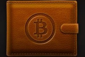 Bitcoin wallet 64 bit